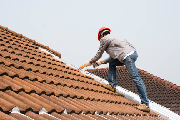 Best Metal Roofing Installation  in Catawba, SC